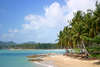 Rocky Resort 